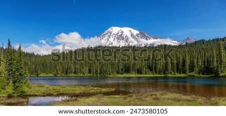 Reflection Lake with Mt Rainier in the background. Sunny summer day. Paradise, Mt Rainier National Park, Washington, United States of America.