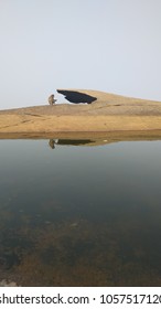 Reflection and life