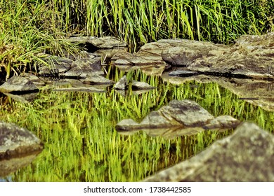 Reflection Of Lush Green Grass On A Stream At Kuruwa Island