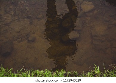 Reflection of the man in water