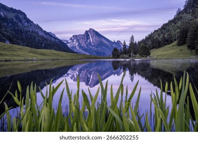 Reflection in a mountain lake