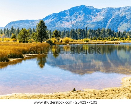 Reflection of Mt. Tallac on Marsh at Kiva Beach, Lake Tahoe, California, USA