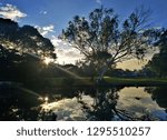 Reflection of Nature
