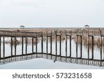 reflection of nature