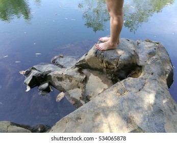 Reflection of the nature