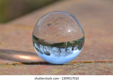 reflection of nature in a glass ball