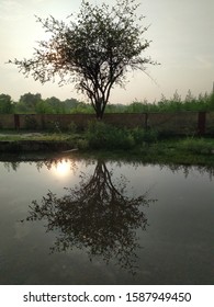 Reflection on the down pour