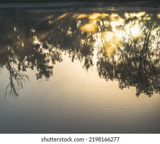 Reflection On The Flat Water Surface Of The Lake Of Trees And The Dawn Bright Sun