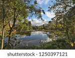 Reflection on the lake