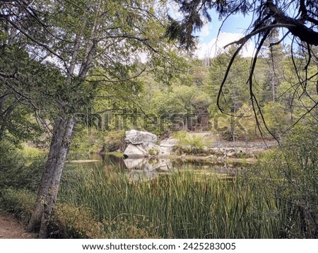 Reflection on Lake Fulmar in the San Bernardino Forest.
