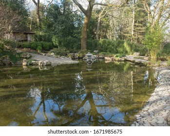 Reflection On A Pond In A Japanese Style Garden In Rural Cornwall, England, UK