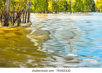 Reflection on the surface of the flowing stream. Through the jungle forest in the afternoon.

