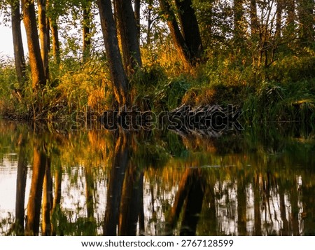 Reflection on the water during sunset time on the Sapina river - canoe trail, Masuria, Poland, Europe