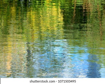 reflection on water in the park - Powered by Shutterstock