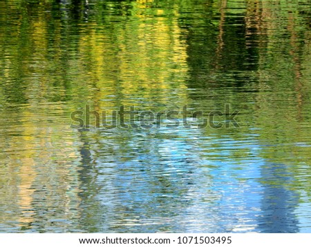 reflection on water in the park