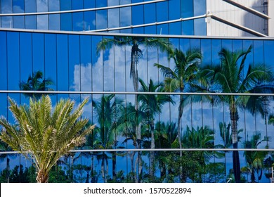 Reflection Of Palm Trees In Glass Building, Miami Beach, Florida, USA