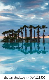 Reflection of palm trees in pool at dusk 
