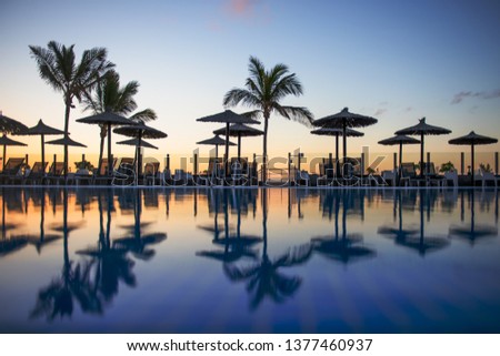 reflection of palm trees and umberllas in a swimming pool	
