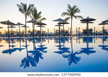 reflection of palm trees and umberllas in a swimming pool	
