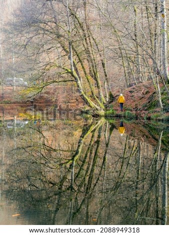 Similar – Wasserspielung Umwelt