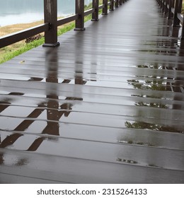 reflection of pine tree on a wet deck