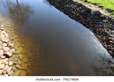 reflection of plants and structures in water