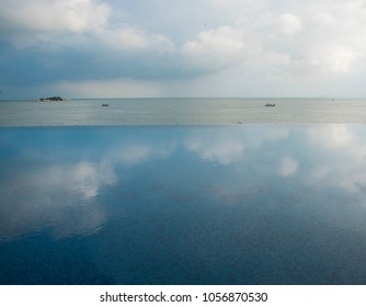 reflection in the pool