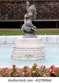 Reflection Pool