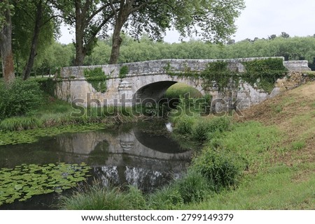 Reflection pool mirroring arched stone bridge