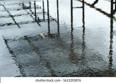 reflection of a pool of water
