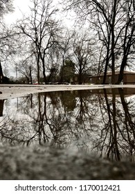 Reflection in puddle