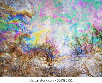 reflection in a puddle: the forest and the oil film - Powered by Shutterstock