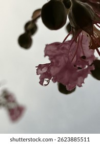Reflection of in a rain drop