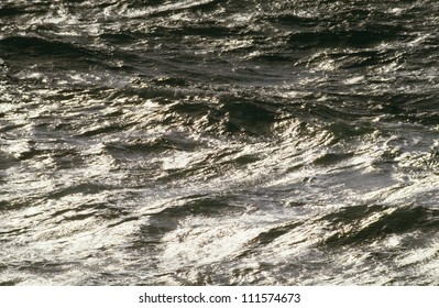 Reflection in the sea