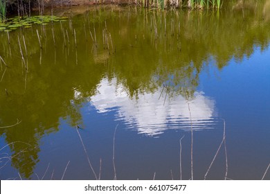Reflection of the sky in water