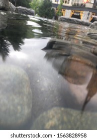 Reflection of a small village
