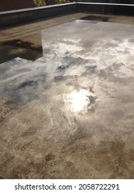 Reflection In Standing Water On Low Rooftop