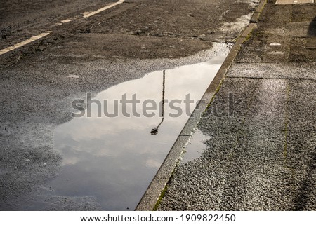 Reflection of a Street Light in a Puddle