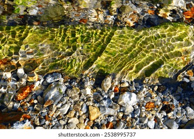 Reflection the Sun rays on the rocks under the water flow at the river 