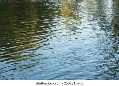 The reflection of the sun's rays in the water. The surface of the river illuminated by the sun's rays at sunset.
