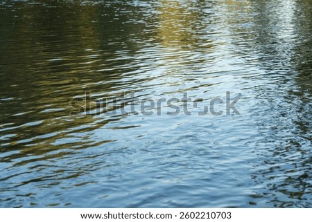 The reflection of the sun's rays in the water. The surface of the river illuminated by the sun's rays at sunset.

