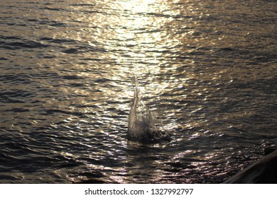 The reflection of the sunset