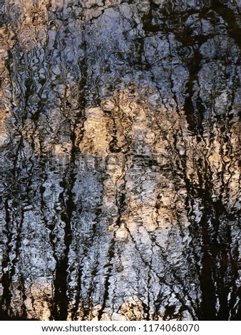 Mirrored Tree Reflection