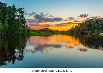 Reflection of a sunset by lagoon inside the Amazon Rainforest. The Amazon river basin comprises the countries of Brazil, Bolivia, Colombia, Ecuador, Guyana, Suriname, Peru and Venezuela. 