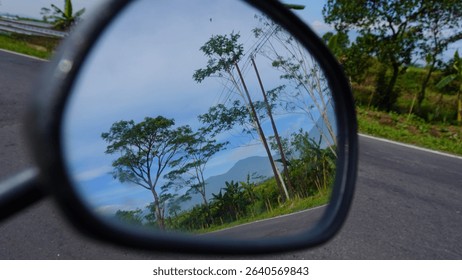 Reflection of Tall Tree in Right Motorcycle Side Mirror – Creative Perspective from the Road