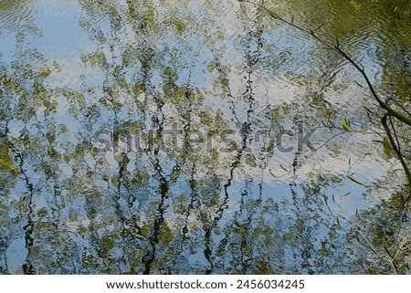 Similar – Foto Bild Frühling in der Pfütze