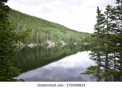 Reflection Of The Tree Line In Estes Park, Colorado