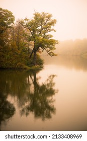 Reflection Of Tree In Water On A Hazy Day