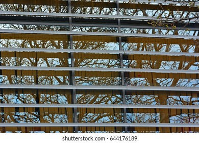 Reflection of tree in window