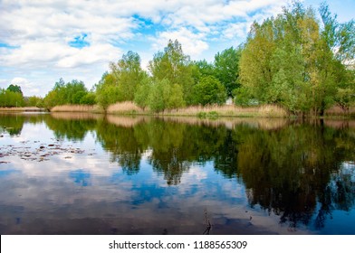 Reflection of trees by the lakeside